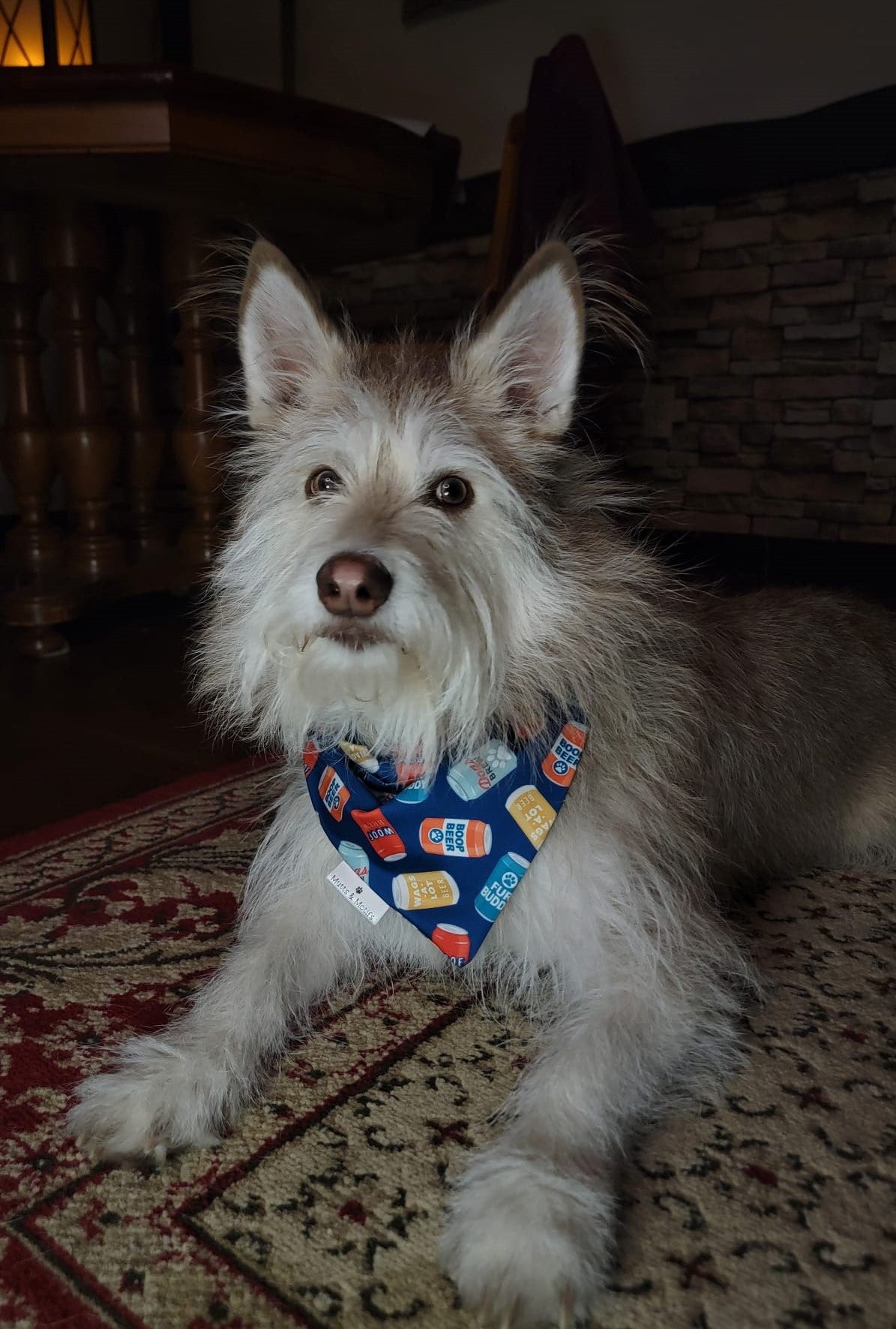 Drinking Buddy Pet Bandana