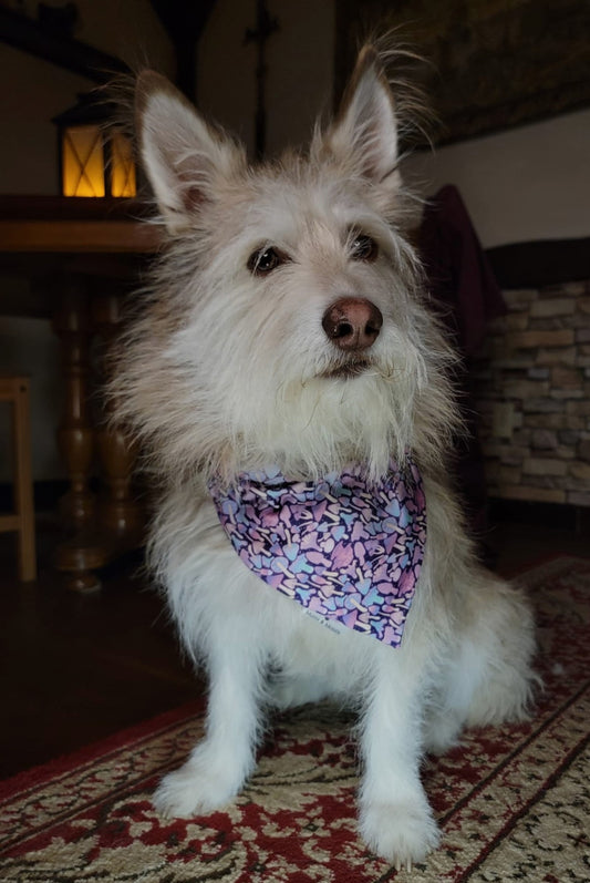 A vibrant pet bandana featuring whimsical pink iridescent mushrooms, perfect for adding a touch of magic to your furry friend's look