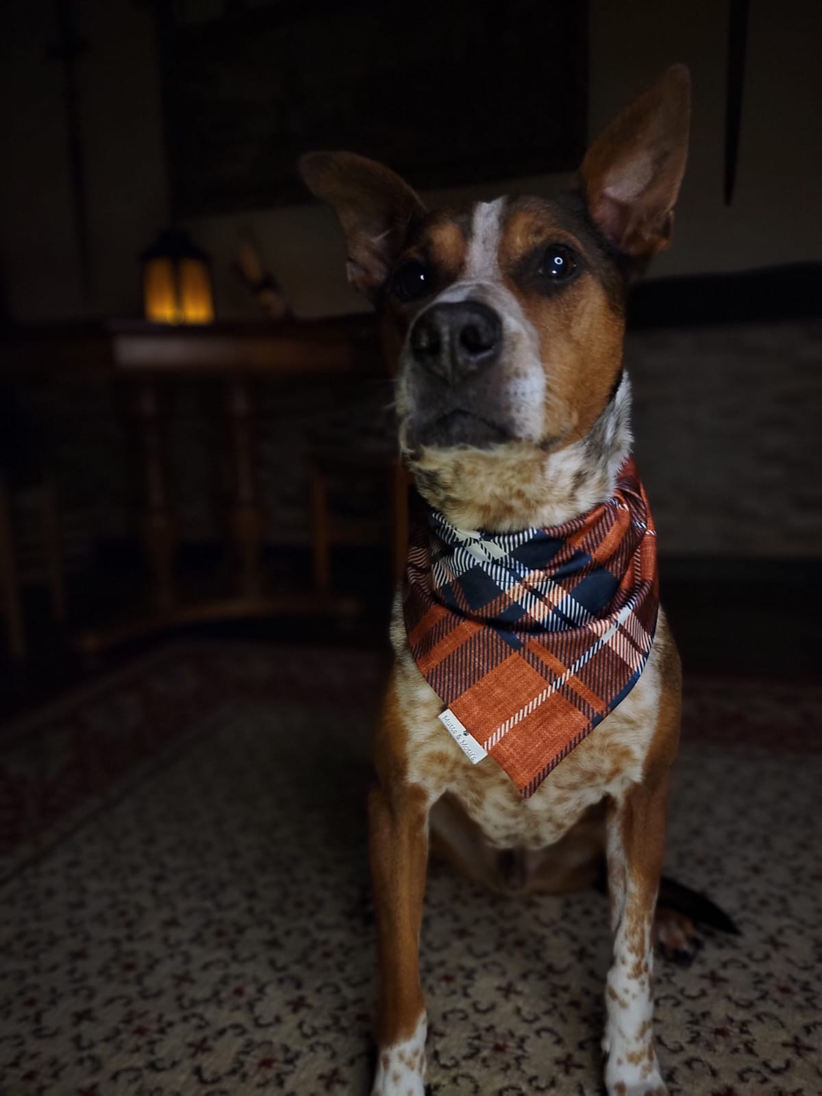 A stylish pet bandana featuring a classic orange plaid pattern, perfect for adding a touch of timeless charm to your furry friend's attire. Made with Sport Lycra